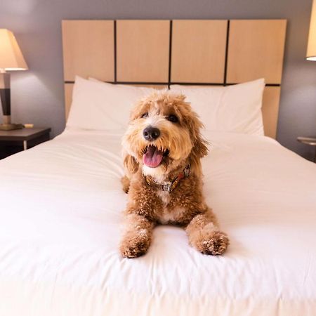 Sonesta Simply Suites Pittsburgh Airport Imperial Bagian luar foto